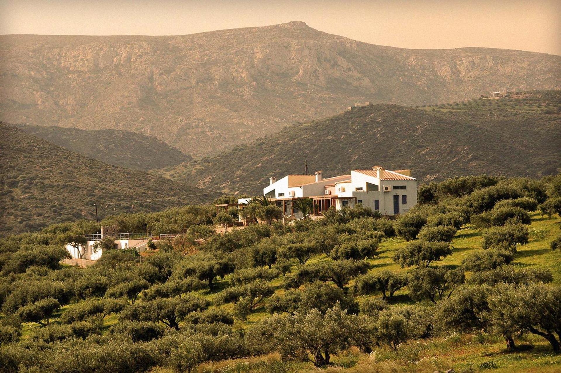Olive Garden Palekastro
