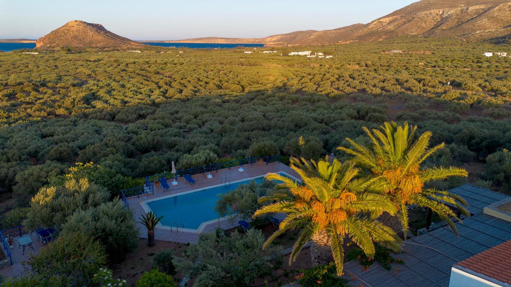 Ferienhaus Olive Garden